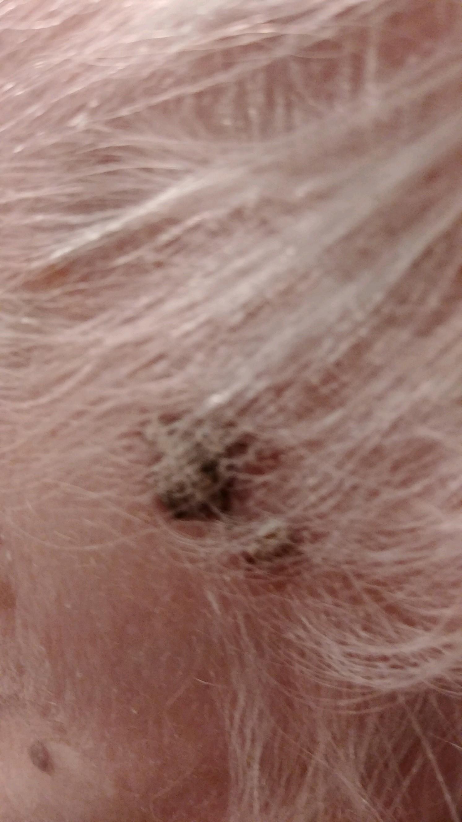 9006b8b6-c837-4290-9a61-50119317fa39